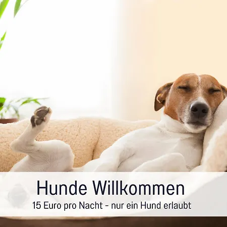 Coworking Und Seminarhaus In Dießen am Ammersee